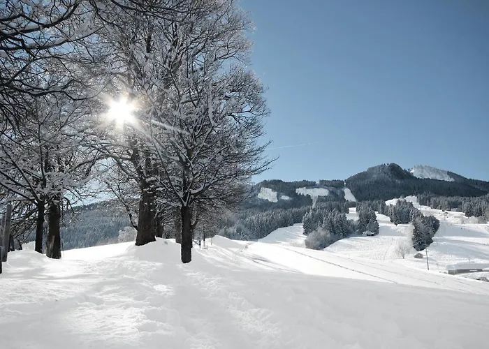 Apartmán N-appartement Falkenstein *